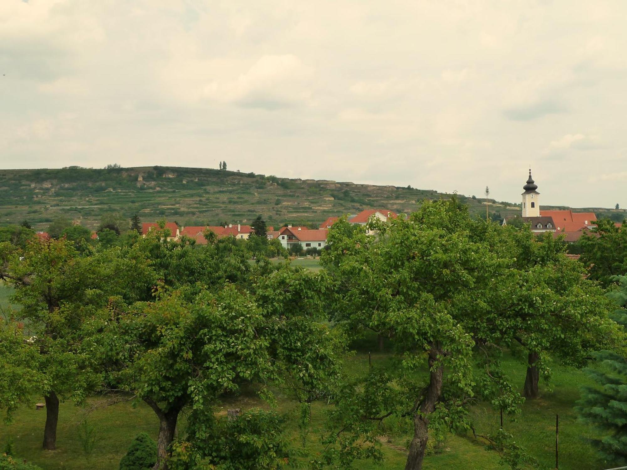Ferienwohnung Weinbergblick Rohrendorf bei Krems Eksteriør billede