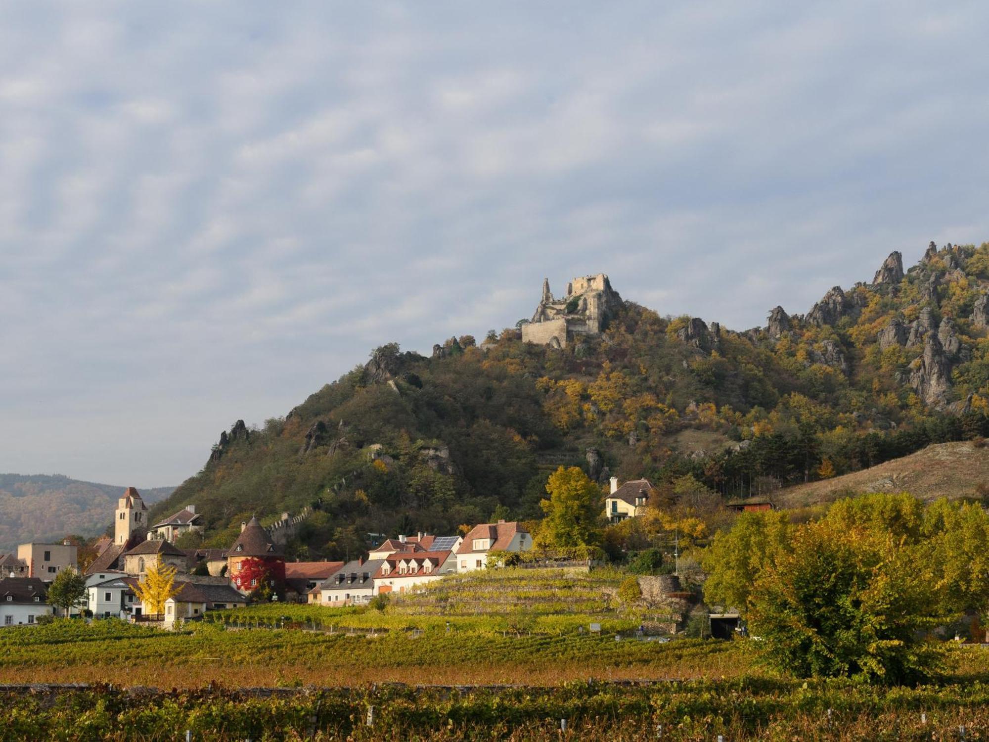 Ferienwohnung Weinbergblick Rohrendorf bei Krems Eksteriør billede