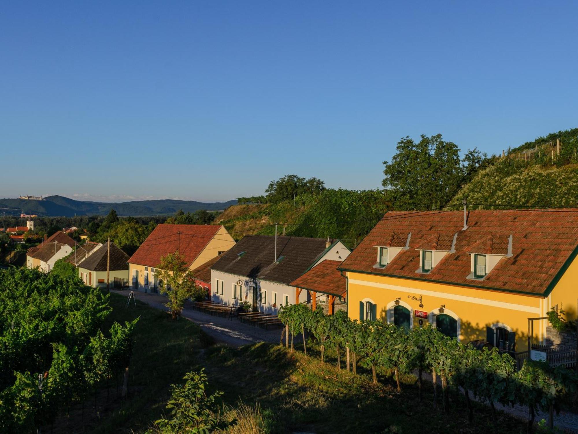Ferienwohnung Weinbergblick Rohrendorf bei Krems Eksteriør billede